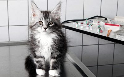 BÜL_Bild_Header_Alternative-2